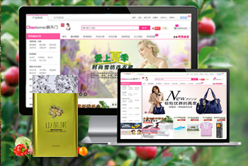 �����س������̳�